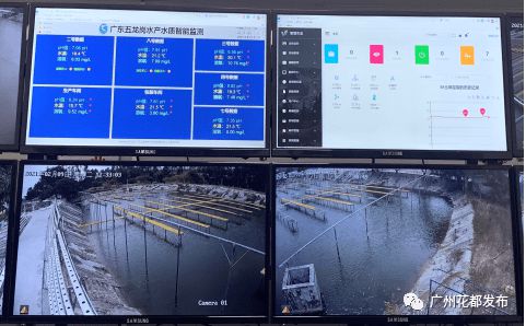 數(shù)字賦能 花都開(kāi)啟現(xiàn)代農(nóng)業(yè)4.0時(shí)代，互聯(lián)網(wǎng)銷(xiāo)售引領(lǐng)產(chǎn)業(yè)新變革